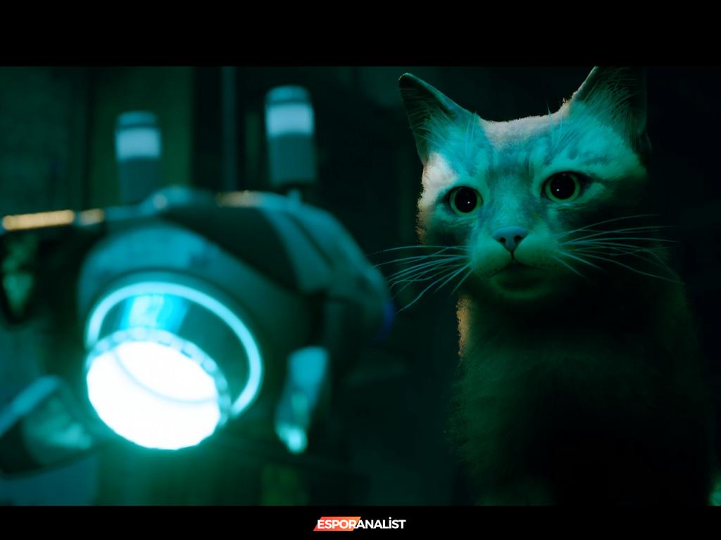 Stray: Kedi Olmanın Keşfi ve Duygusal Bir Yolculuk
