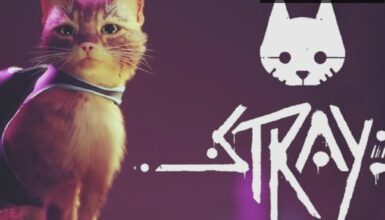 Stray: Kedi Olmanın Keşfi ve Duygusal Bir Yolculuk