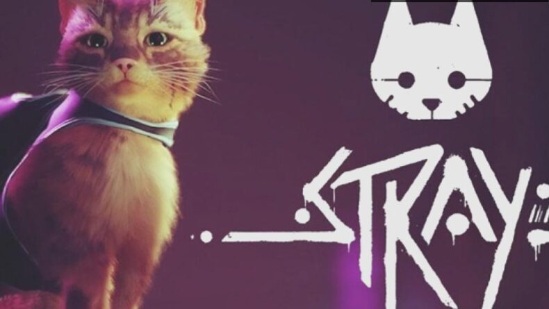 Stray: Kedi Olmanın Keşfi ve Duygusal Bir Yolculuk