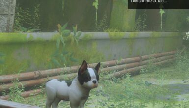 Stray’de Köpek Modu ile Yeni Bir Macera: Havlayan Dostlarımızla Tanışın!
