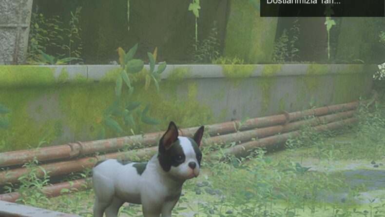 Stray’de Köpek Modu ile Yeni Bir Macera: Havlayan Dostlarımızla Tanışın!