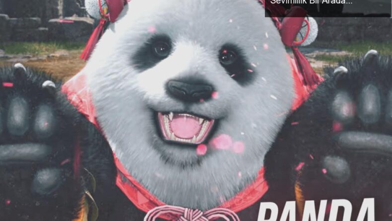 Tekken 8’de Panda’nın Renkli Dünyası: Dövüş ve Sevimlilik Bir Arada!