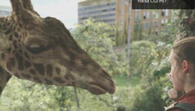 The Last of Us Dizisindeki Zürafa Sahnesi: Gerçek mi Yoksa CGI mı?