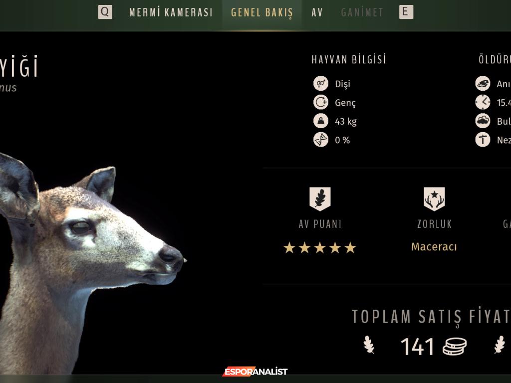 Way of the Hunter: Avcılık Dünyasında Gerçekçiliğin Eksiklikleri