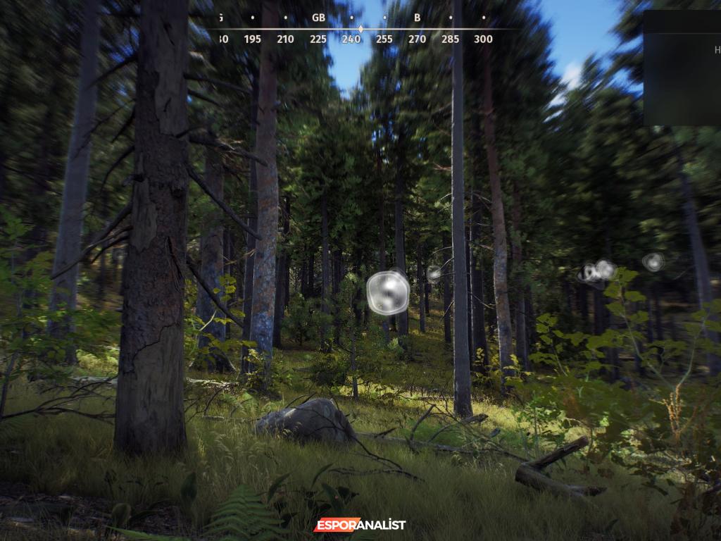 Way of the Hunter: Avcılık Dünyasında Gerçekçiliğin Eksiklikleri