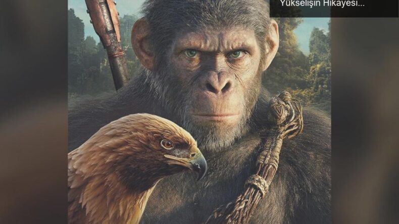 Yeni Üçleme ile Maymunlar Cehennemi: Düşüş ve Yükselişin Hikayesi