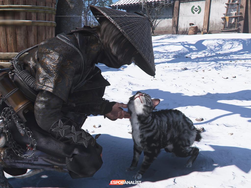 Assassin’s Creed Shadows: Tarih, Komedi ve Kedi Maceraları