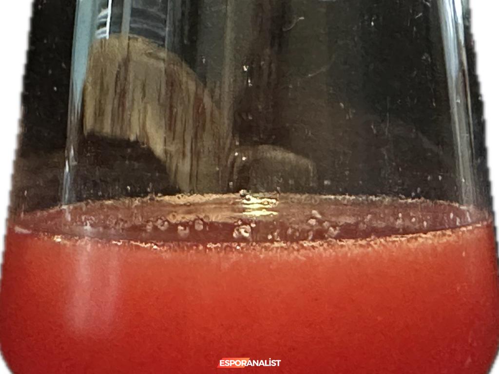 Cosmo Canyon Kokteyli: Final Fantasy VII’den İlham Alan Lezzetli Tarifler