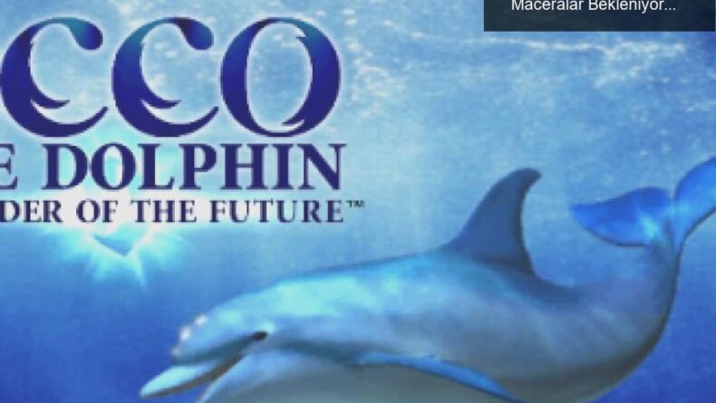 Ecco the Dolphin Geri Dönüyor: Su Altında Yeni Maceralar Bekleniyor!