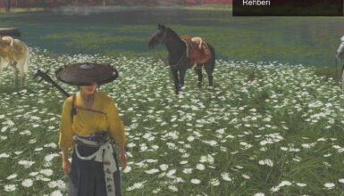 Ghost of Yotei: Eski İzler Görevinde Doğru At Seçim Rehberi