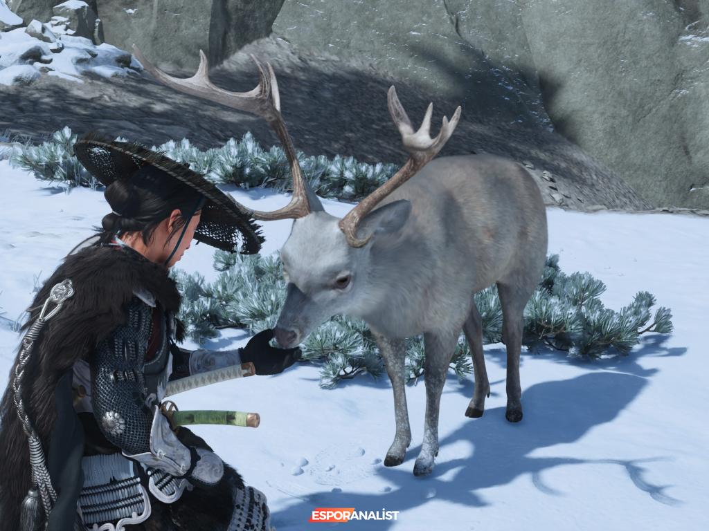 Ghost of Yotei: İntikam Ateşiyle Dolu Bir Japon Mitolojisi Yolculuğu