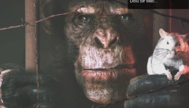 Hayvanların Kaçış Planı: Animal Use Protocol ile Korku Dolu Bir Macera Başlıyor