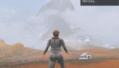 Hollow Knight: Silksong’un Ertelemeleri ve Baby Steps’in Yeni Çıkış Tarihi