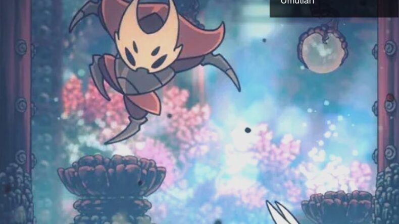 Hollow Knight: Silksong’un Uzun Bekleyişi ve Gelecek Umutları