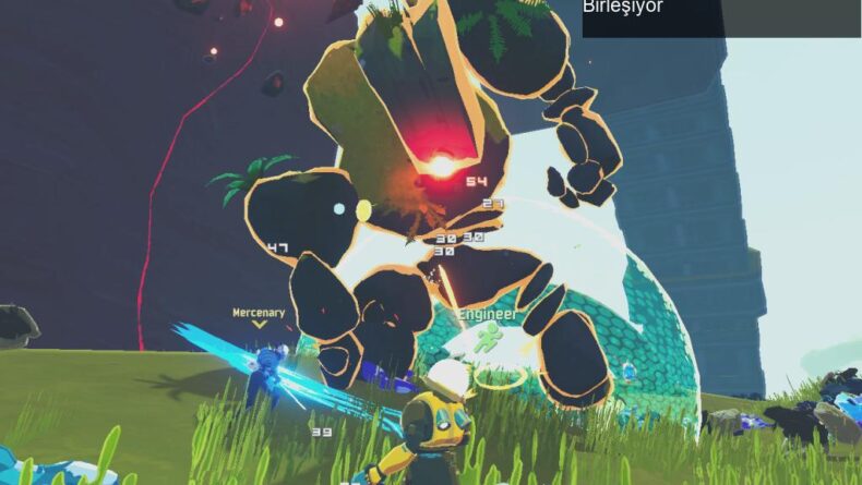 Hopoo Games ve Valve: Yeni Bir Oyun Dünyası İçin Birleşiyor