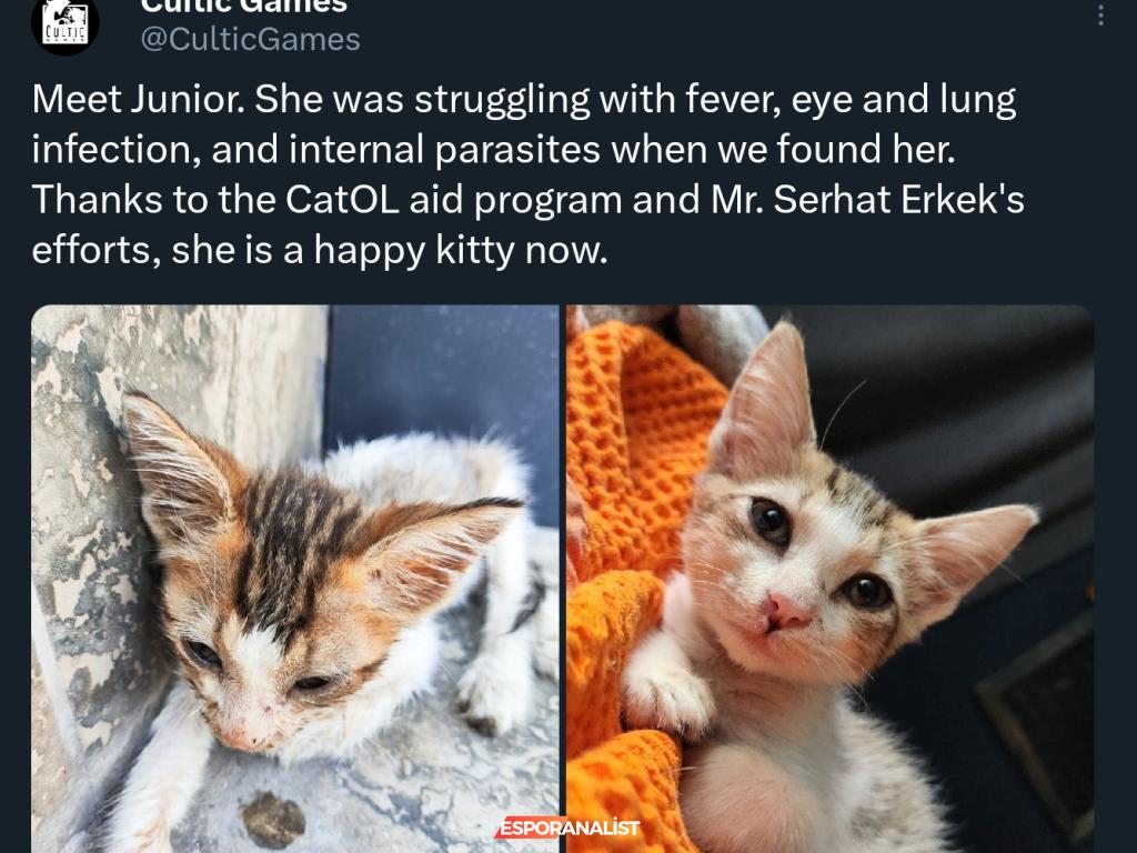 Kedilere Dans Öğreten Karanlık Figürler: 'Cats and the Other Lives' Oyun İncelemesi