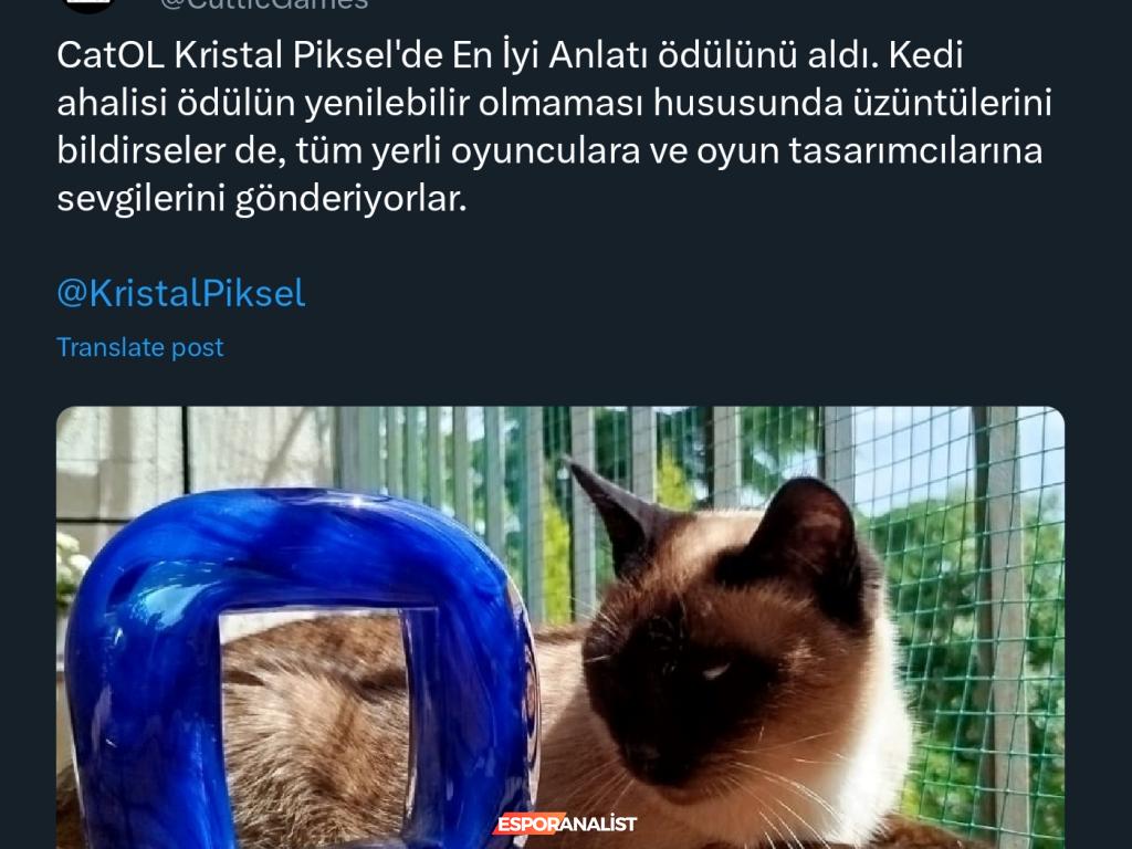 Kedilere Dans Öğreten Karanlık Figürler: 'Cats and the Other Lives' Oyun İncelemesi