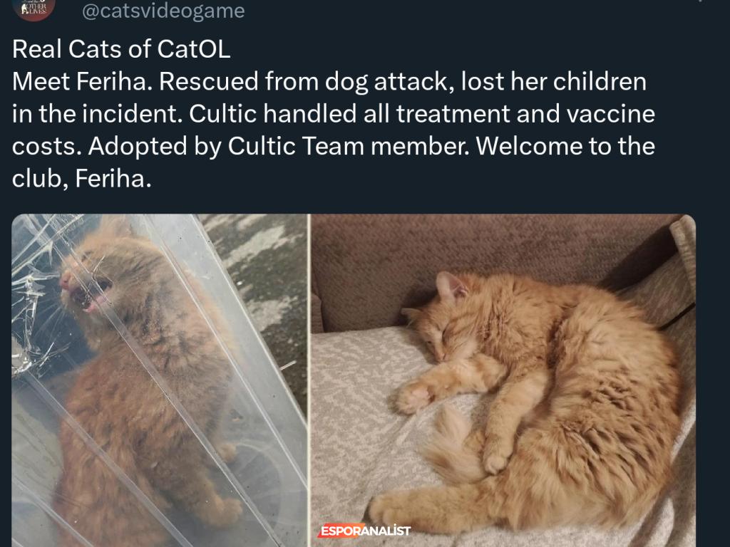 Kedilere Dans Öğreten Karanlık Figürler: 'Cats and the Other Lives' Oyun İncelemesi