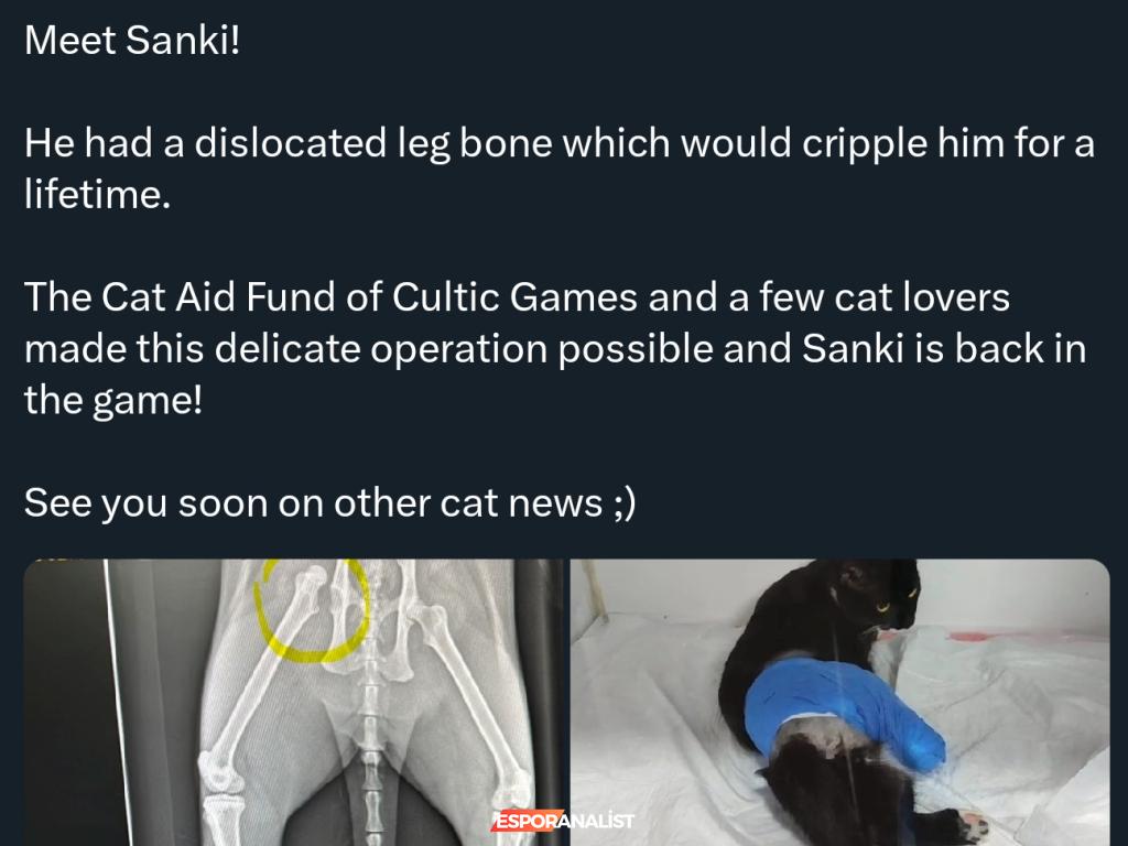 Kedilere Dans Öğreten Karanlık Figürler: 'Cats and the Other Lives' Oyun İncelemesi