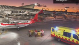 Microsoft Flight Simulator 2024: Hayvanlarla Dolu Sürükleyici Bir Uçuş Deneyimi