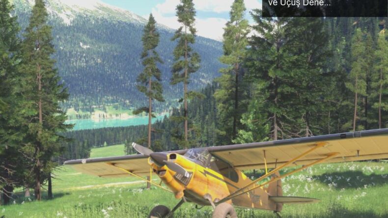 Microsoft Flight Simulator 2024: Vahşi Doğaya Yolculuk ve Uçuş Deneyimi