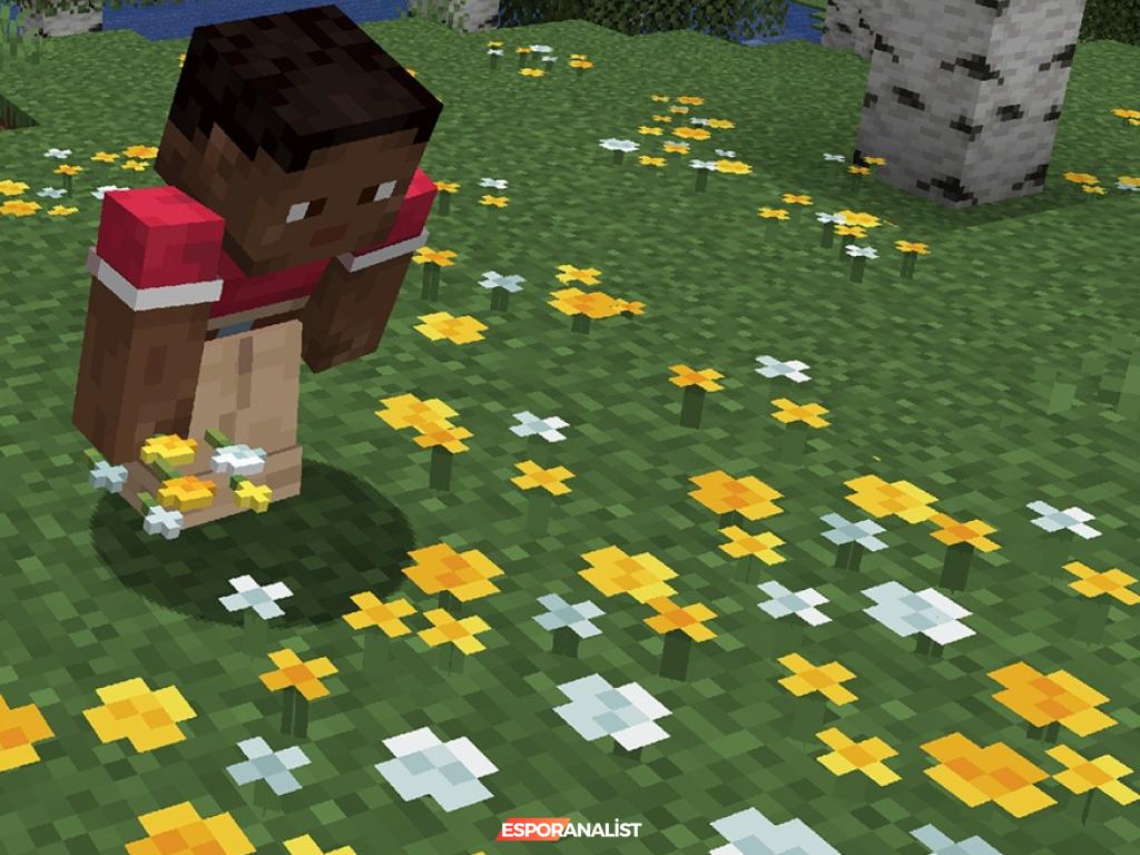 Minecraft'ta Domuzların Eğlenceli Dönüşümü: 2025 İlk Güncellemesi ile Beklentiler