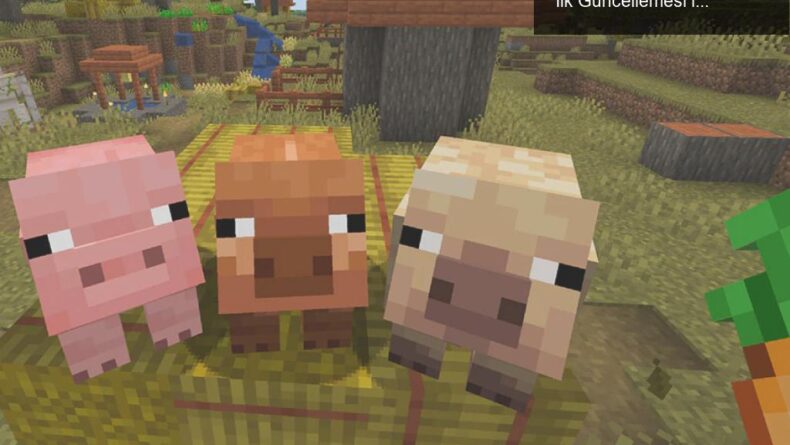 Minecraft’ta Domuzların Eğlenceli Dönüşümü: 2025 İlk Güncellemesi ile Beklentiler