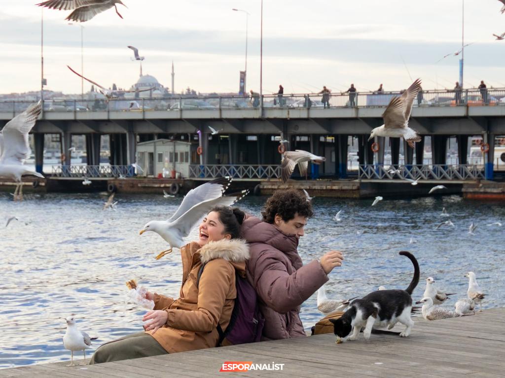 Netflix'in 2025 Katalogunda Beklenen Yeni Yapımlar: Dikkat Çeken Projeler