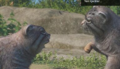 Planet Zoo’nun Beşinci Yılı: Kutlama Hayvanları ve Yeni İçerikler