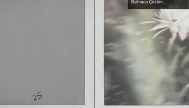 Silent Hill 2 Remake: Gizemli Fotoğrafların Ardındaki Bulmaca Çözümünü Keşfettik