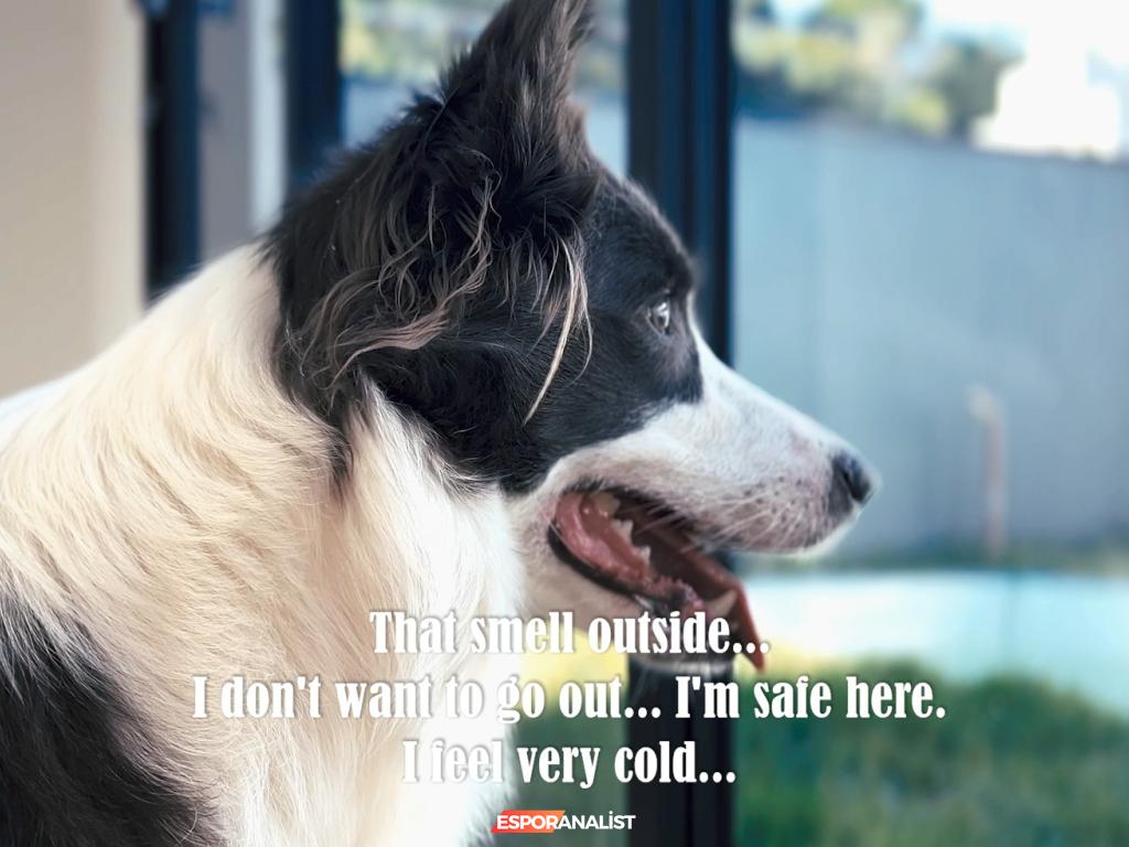 The Empty House: Demans Temalı Interaktif Filmin Derinliklerine Yolculuk