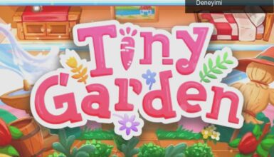 Tiny Garden: Ruhunuzu Dinlendiren Minik Bahçe Deneyimi