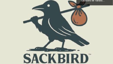 ZeniMax’tan Ayrılan Geliştiriciler Yeni Stüdyo Sackbird ile Yaratıcılığın Peşinde