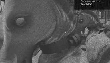 Horses: Tartışmalı Eğlencenin Ardındaki Deneysel Yürüme Simülatörü