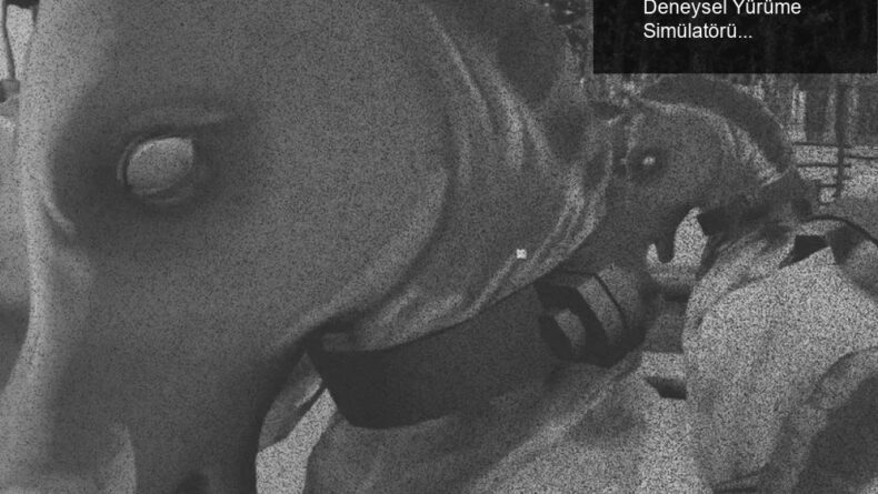 Horses: Tartışmalı Eğlencenin Ardındaki Deneysel Yürüme Simülatörü