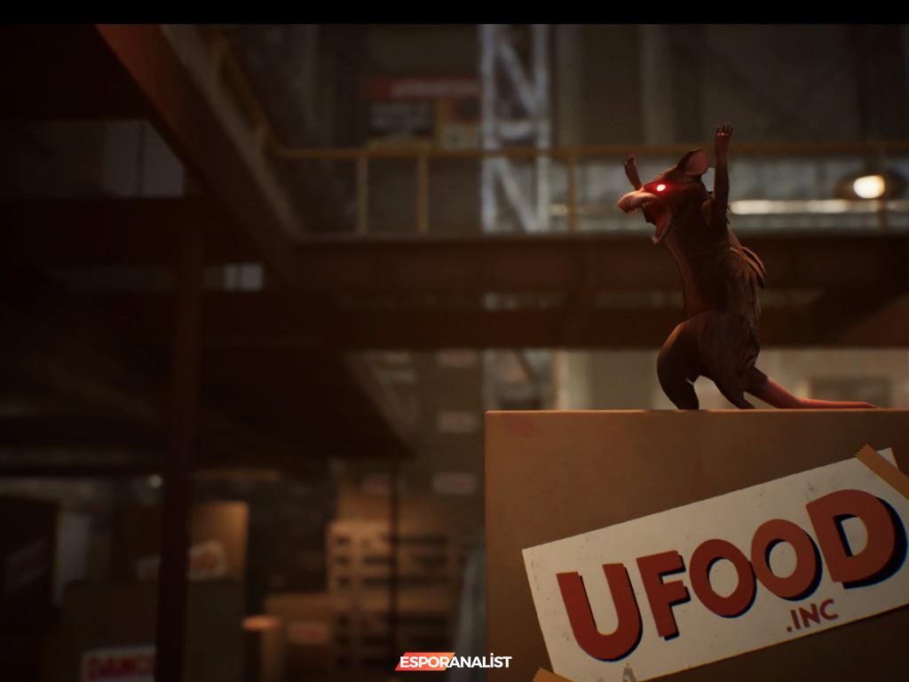 Darwin's Paradox: Ahtapot Darwin ile Eğlenceli Bir Macera İçin Hazır Mısınız?