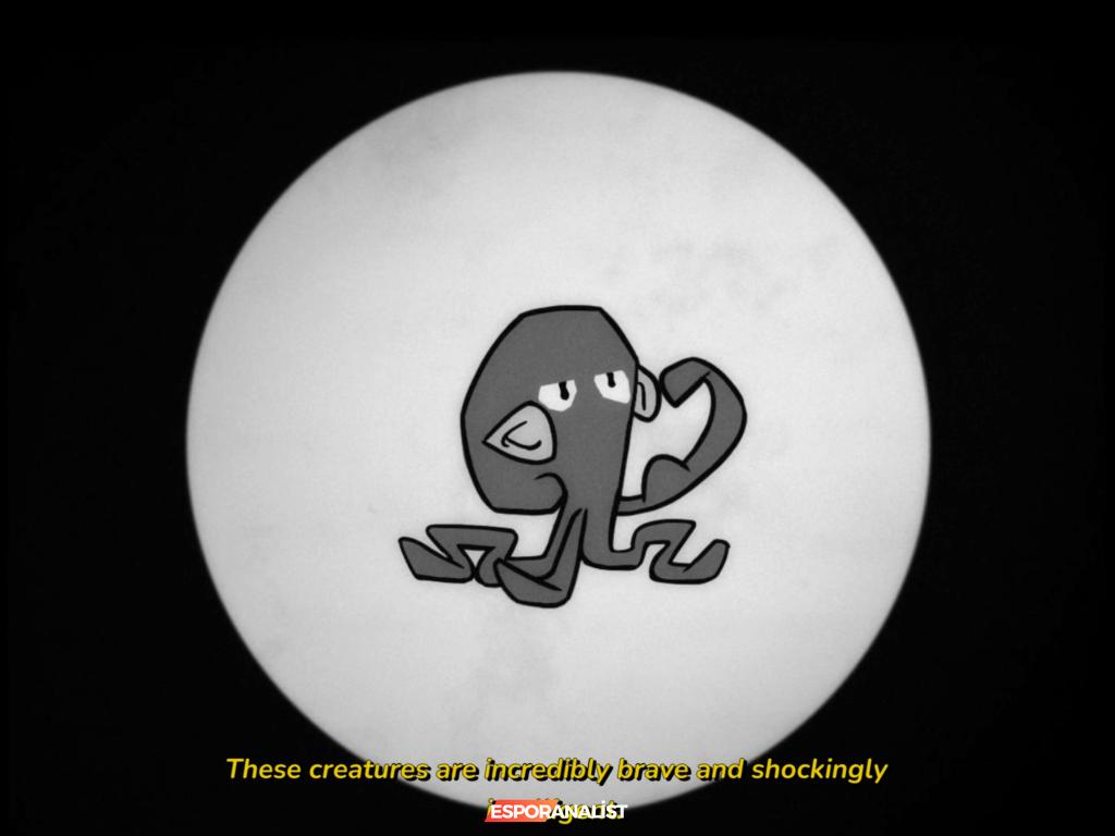 Darwin's Paradox: Ahtapot Darwin ile Eğlenceli Bir Macera İçin Hazır Mısınız?