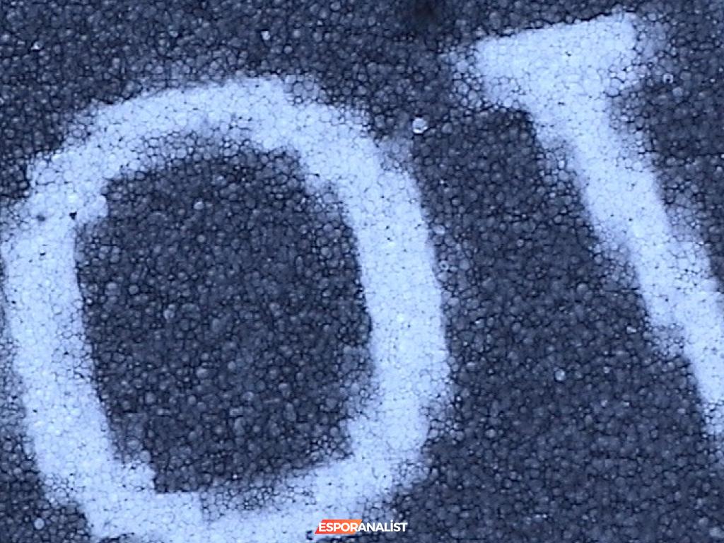 E-ink ve LCD Ekranlar: Okuma Deneyiminizi Şekillendiren Teknolojiler