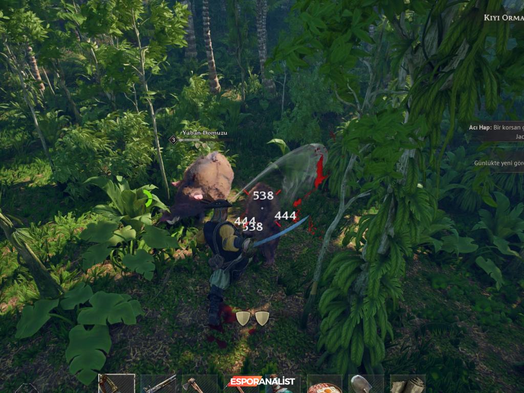 Windrose: Korsan Temalı Hayatta Kalma Oyunu İncelemesi